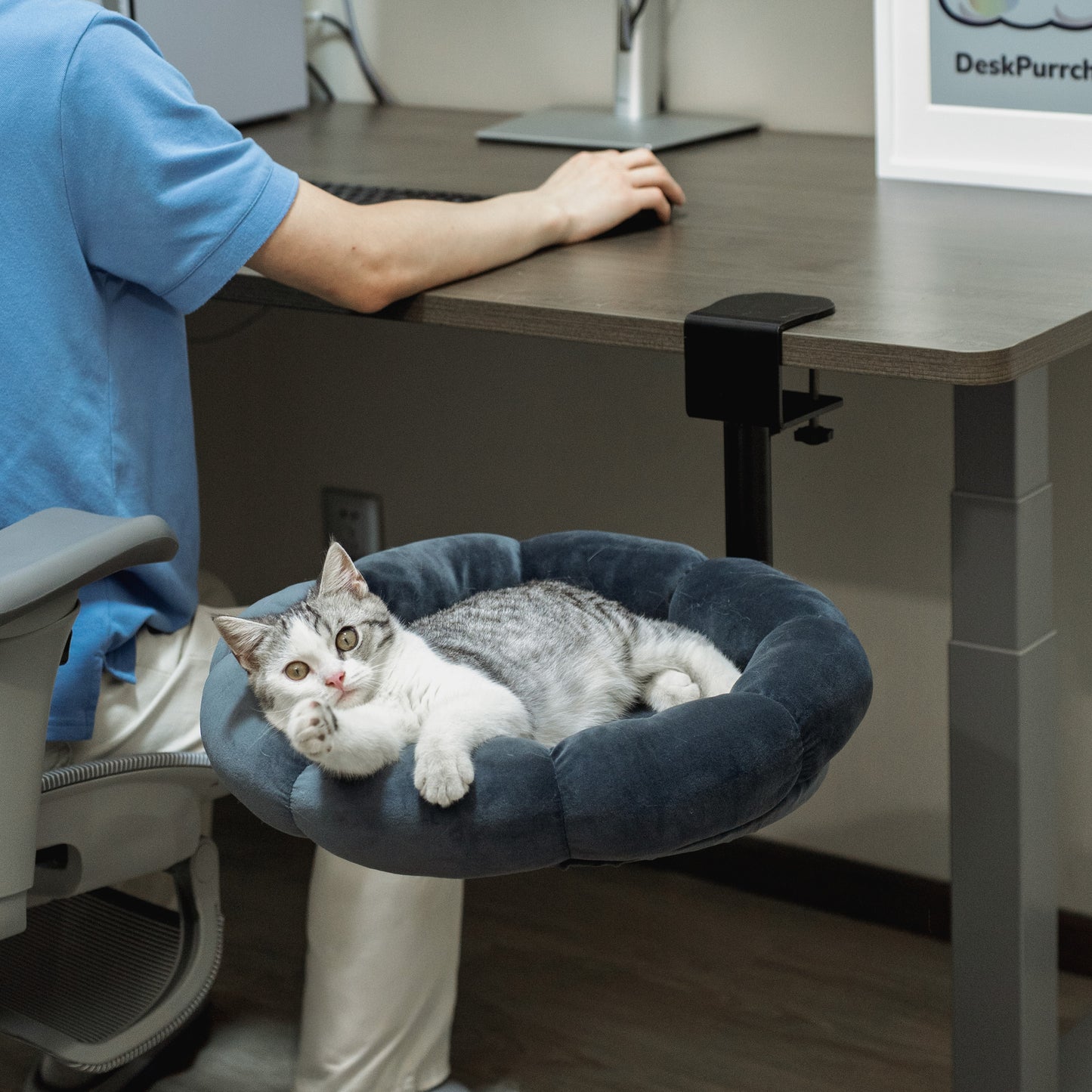 DeskPurrch™ Cat Bed