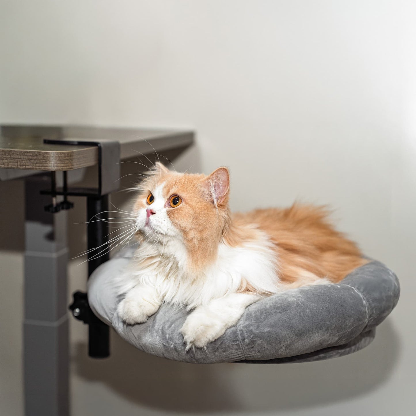 DeskPurrch Cat Bed