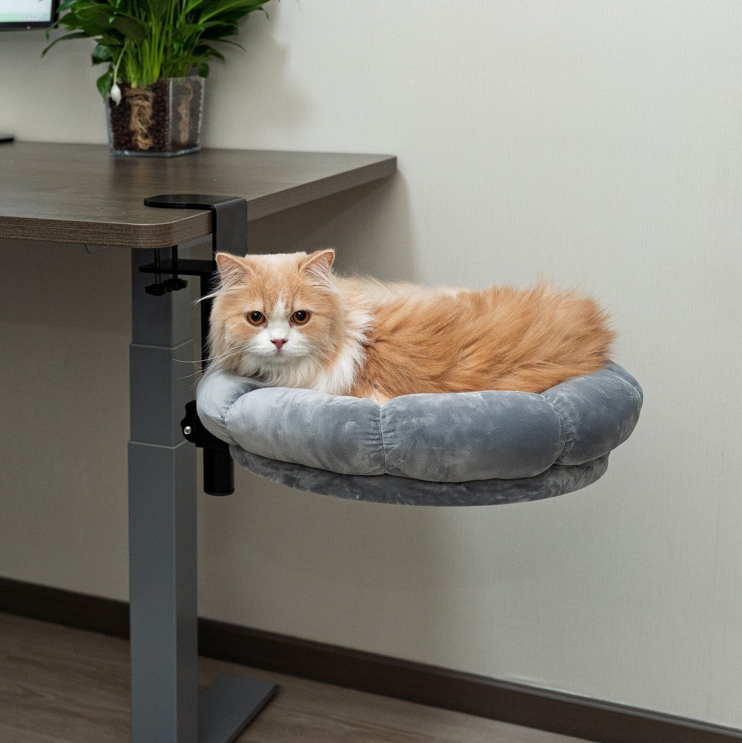 DeskPurrch™ Cat Bed