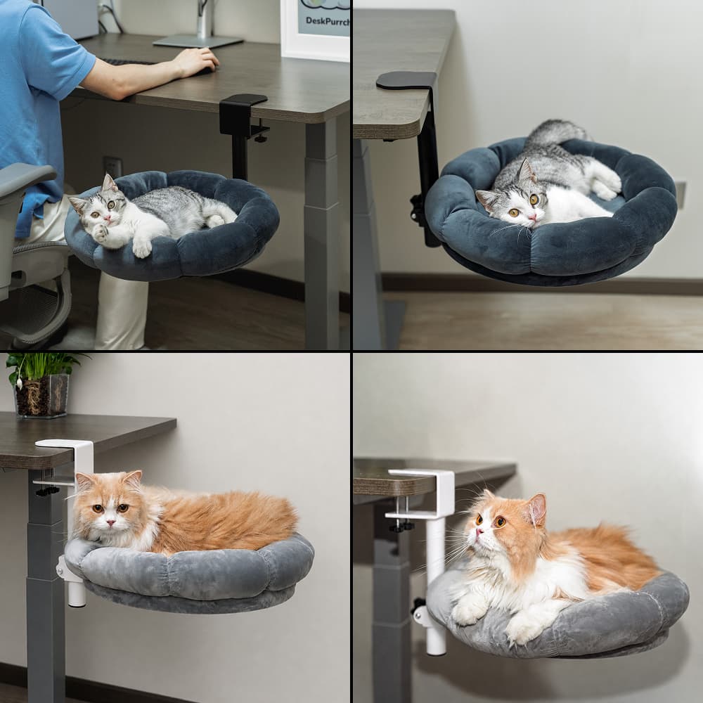 DeskPurrch Cat Bed