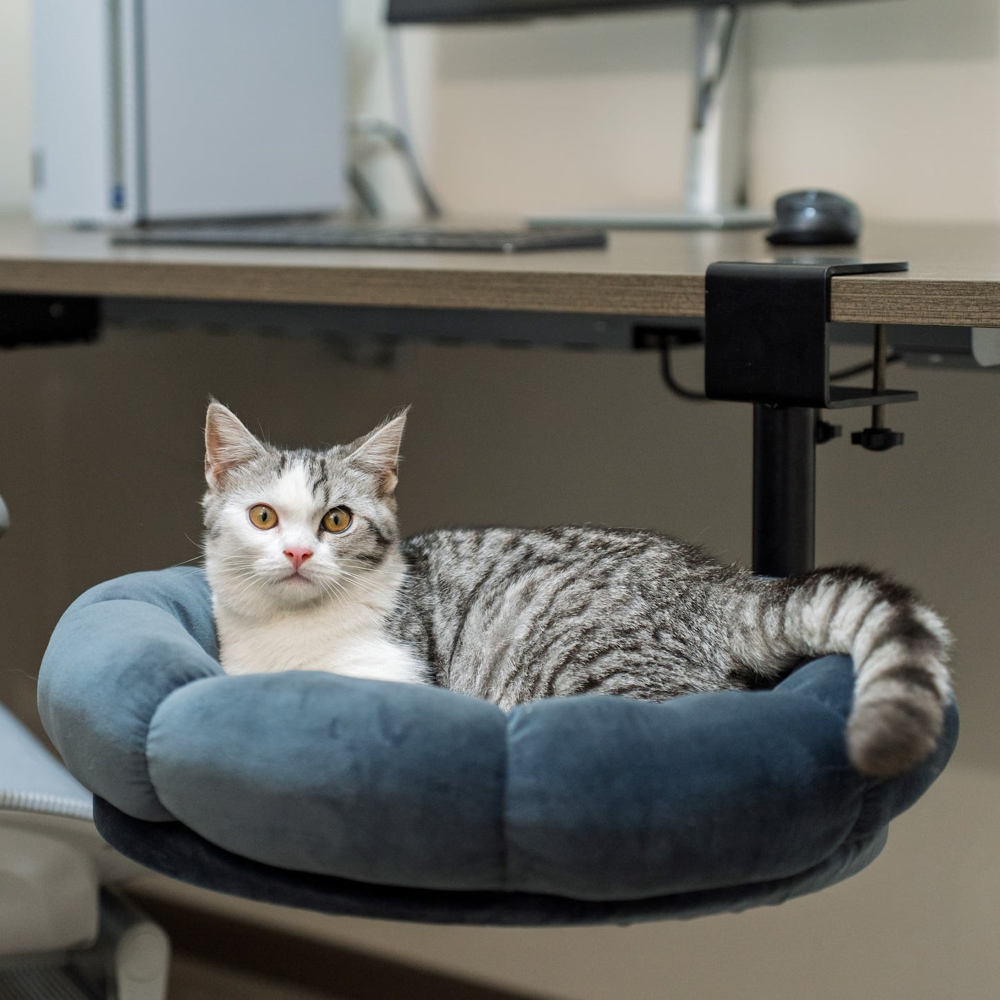 DeskPurrch Cat Bed
